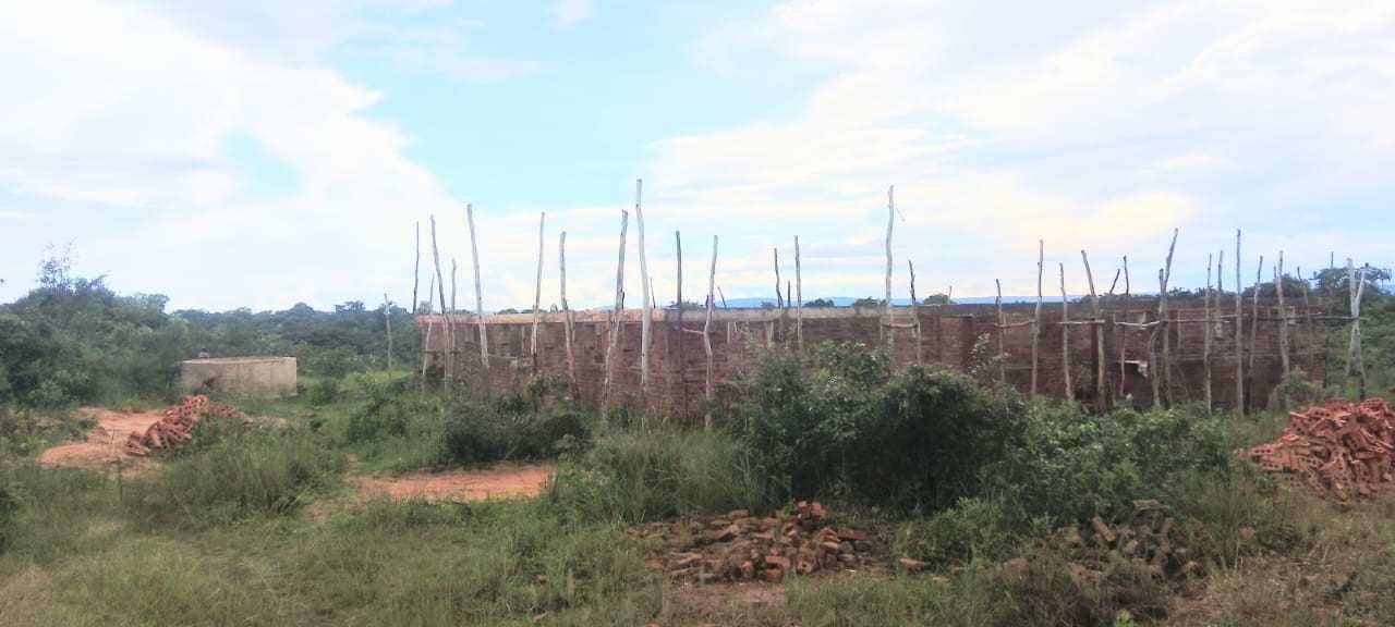 category photo